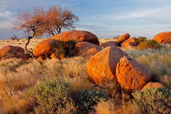 Rote Felsen und Köcherbaum im Khomas Gebiet in Namibia