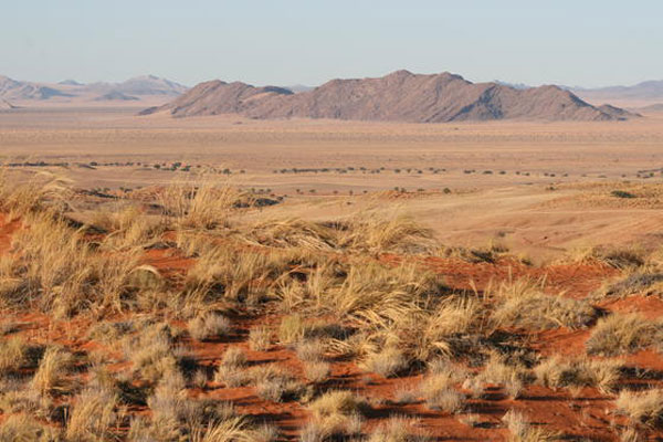 namibia-namib