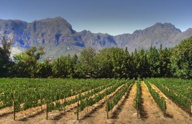 Weinlandschaft in Franchhoek - Prince Albert